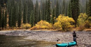 6 Expert Tips to Fishing in The Rain