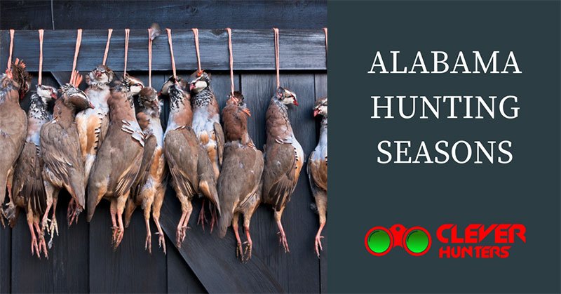 alabama hunting seasons