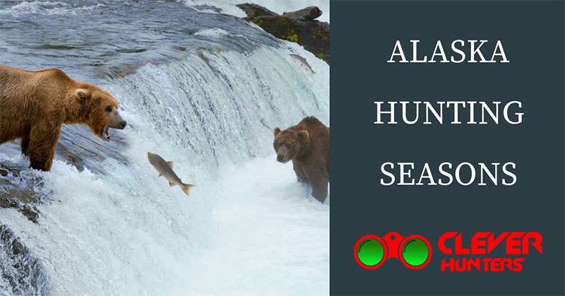 Alaska Hunting Seasons