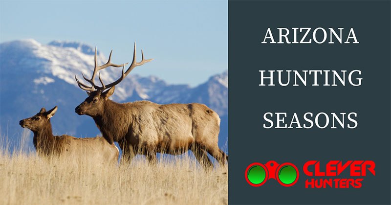 arizona hunting seasons