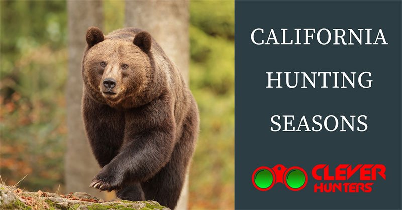 california hunting seasons