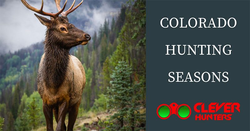 colorado hunting seasons