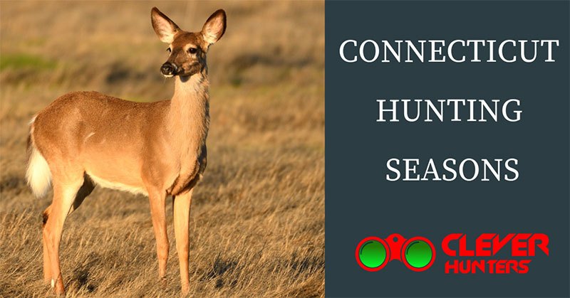 Connecticut Hunting Seasons