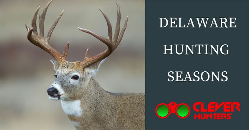 Delaware Hunting Seasons