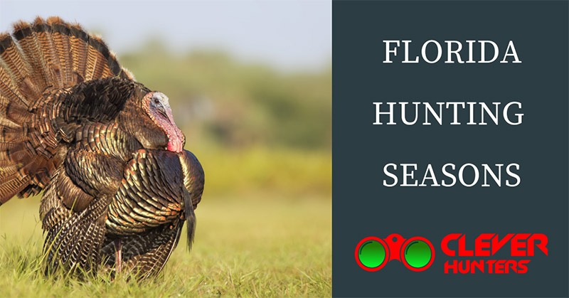 Florida Hunting Seasons