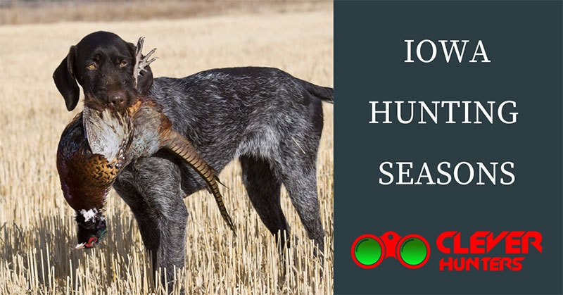 Iowa Hunting Seasons