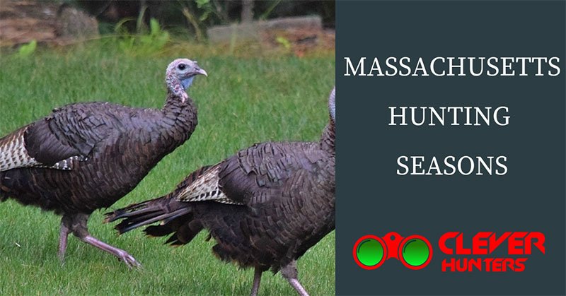 Massachusetts Hunting Seasons