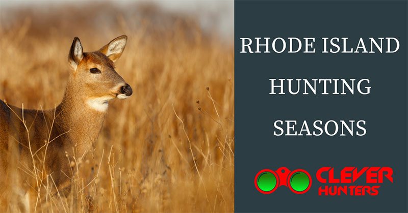 Rhode Island hunting seasons