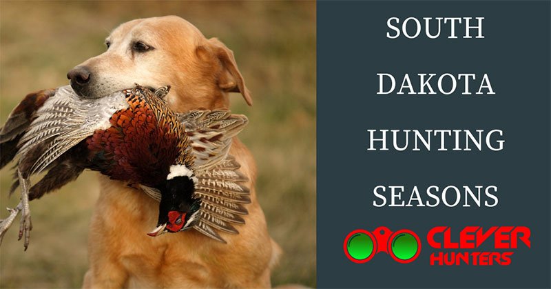 South Dakota Hunting Seasons