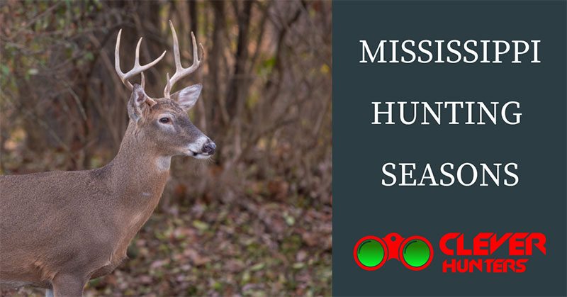 Mississippi Hunting Seasons