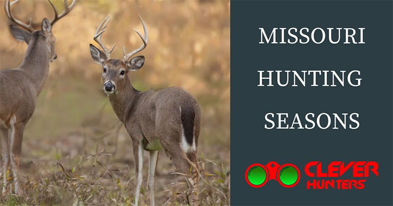 Missouri Hunting Seasons