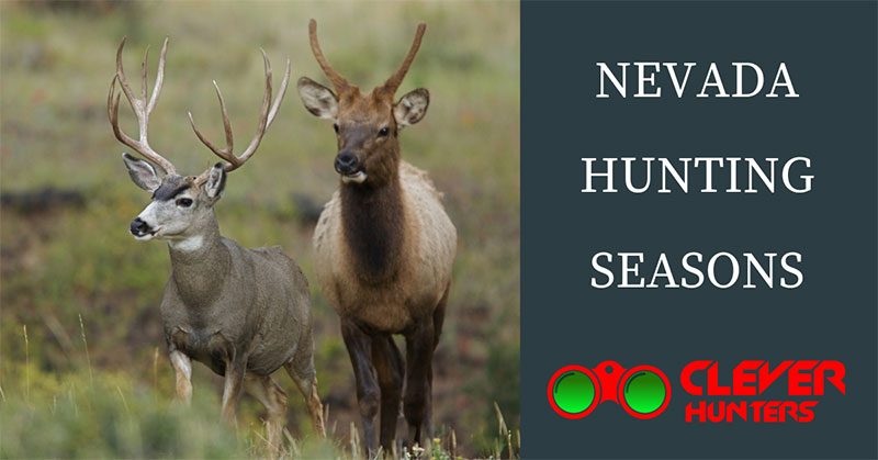 Nevada Hunting Seasons