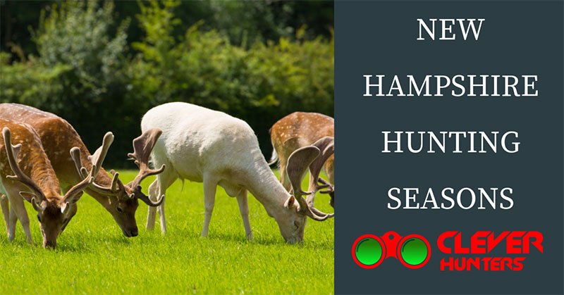 New Hampshire Hunting Seasons