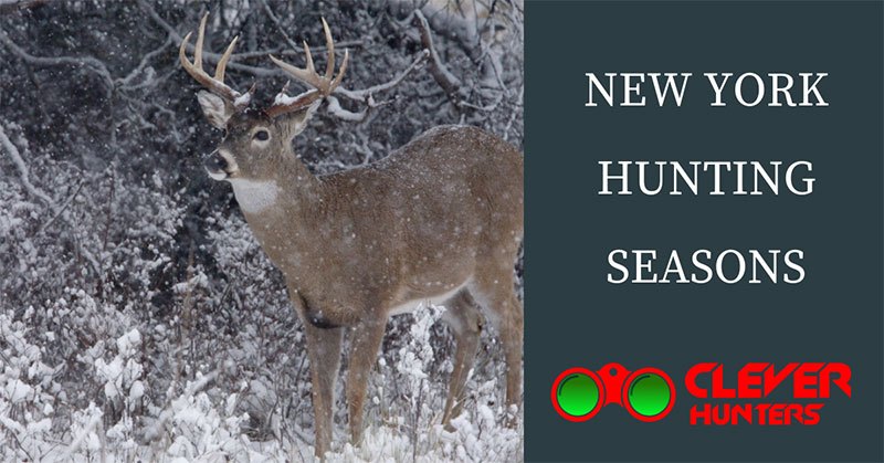 New York Hunting Seasons