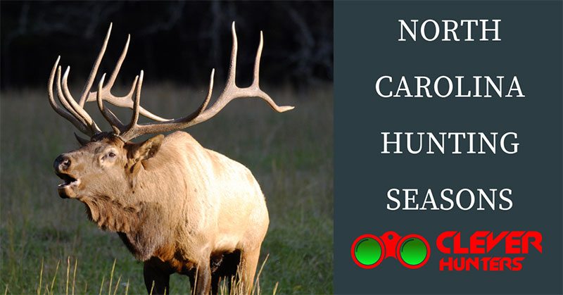 North Carolina Hunting Seasons