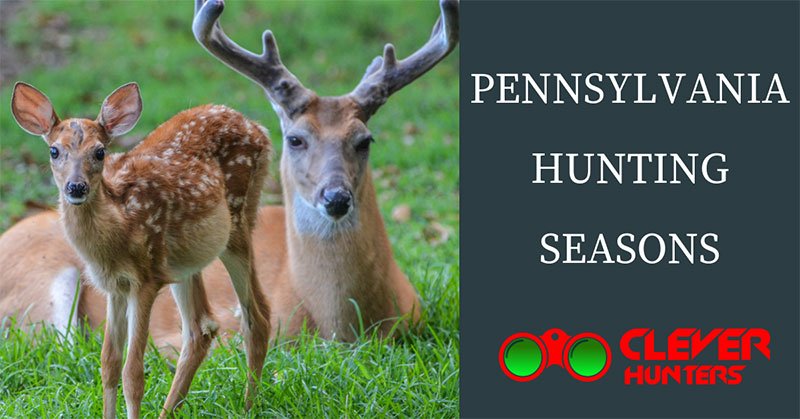 Pennsylvania Hunting Seasons