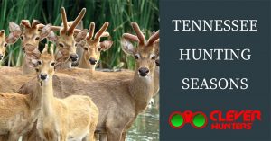 Tennessee Hunting Seasons, 2018 – 2019