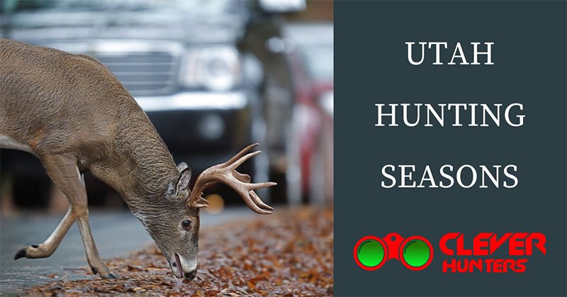 utah hunting seasons