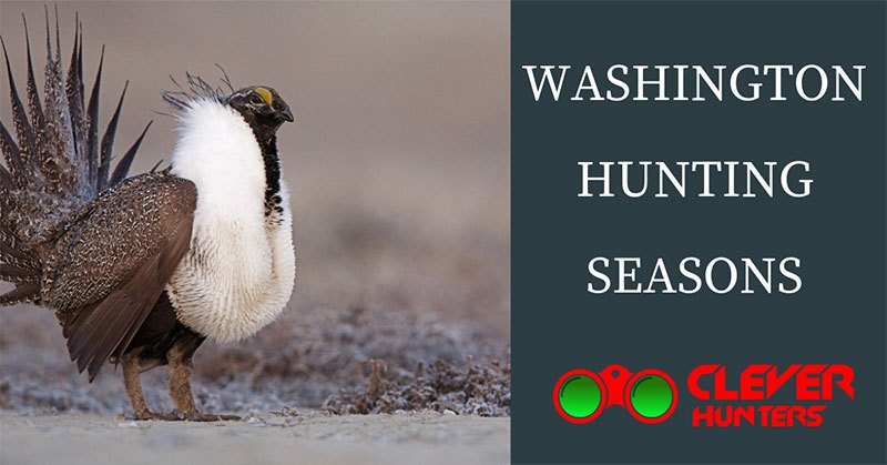 Washington Hunting Seasons