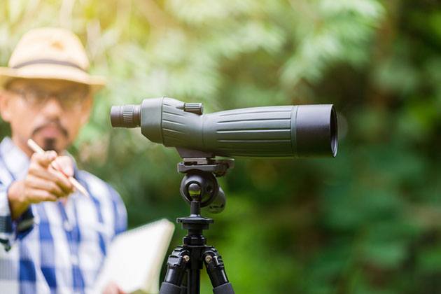 best spotting scopes for birding