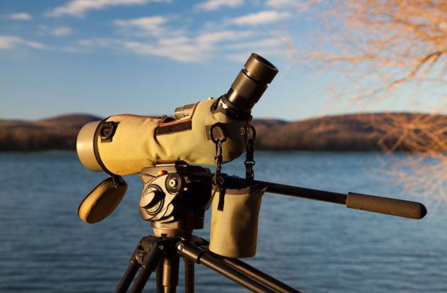 best spotting scope for the money